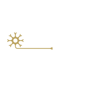 Neuro Experience